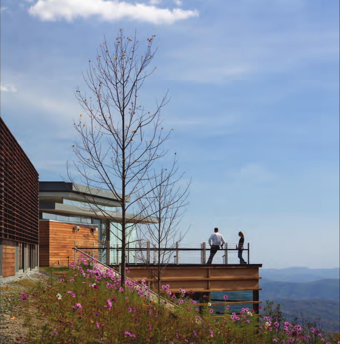 Blue Ridge House — photo 4